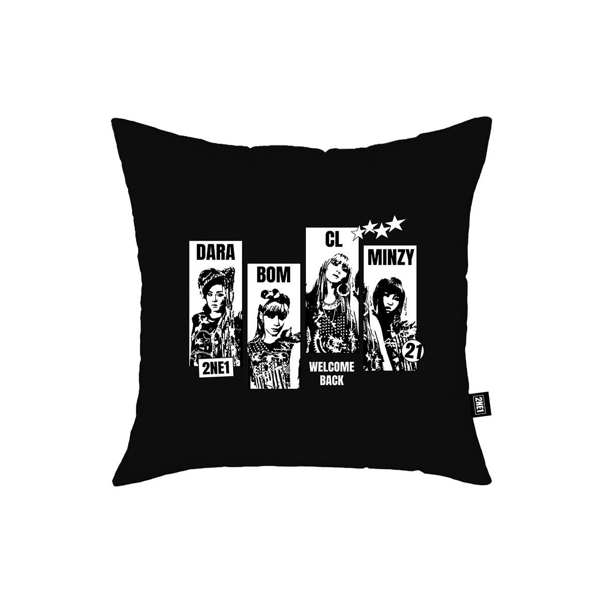 2NE1 WELCOMEBACKENCORE Goods - PHOTO CUSHION_172958.jpg