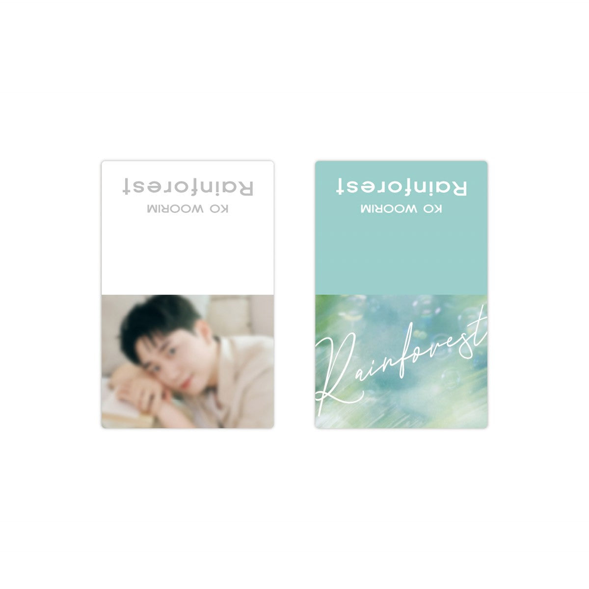 KO WOORIM Rainforest Goods - BOOKMARK SET_175098.jpg