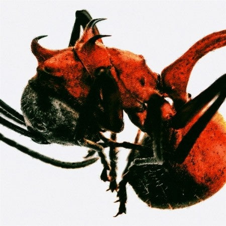 QM 4th Album - ant CD_157783.jpg