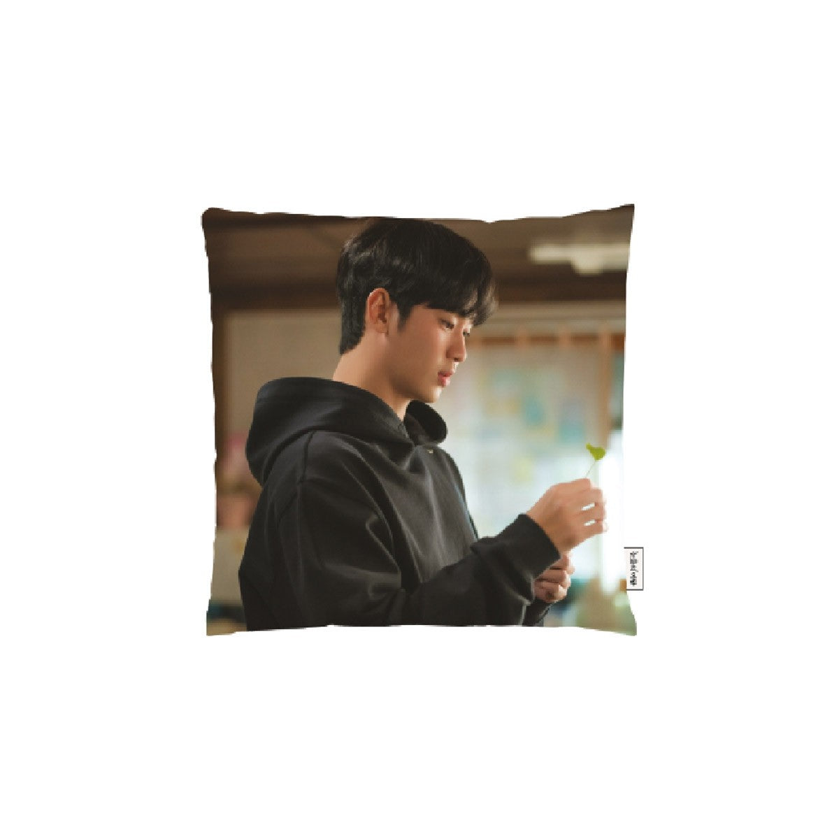 Queen of Tears 2024 POP-UP STORE Goods - CUSHION_160647.jpg