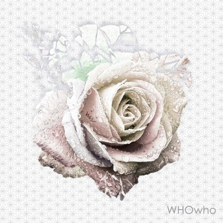 WHOWHO 1st Album - OH YEAH CD - kpoptown.ca