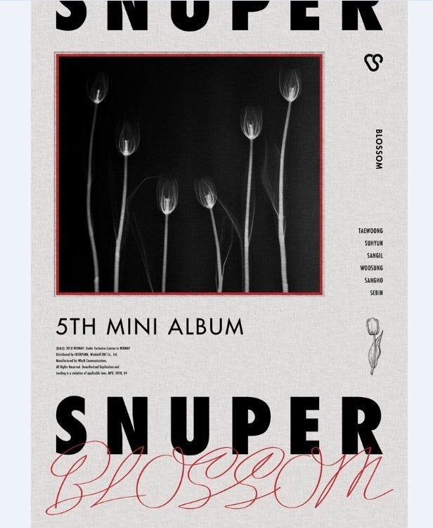 SNUPER 5th Mini Album - Blossom CD - kpoptown.ca