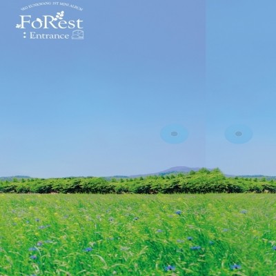 SEO EUN KWANG 1st Mini Album - FoRest : Entrance (Silver ver.) CD + Poster - kpoptown.ca