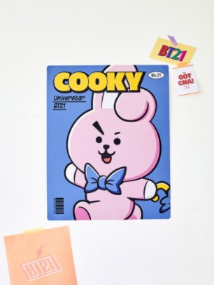 [BT21] BTS Line Friends Collaboration - Air Wall - kpoptown.ca