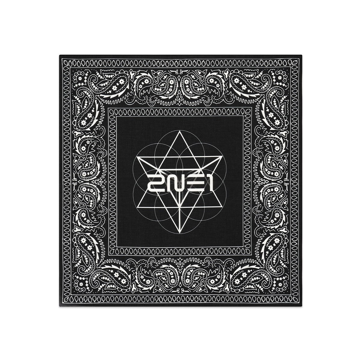 2NE1 WELCOMEBACK Goods - BANDANA_164736.jpg