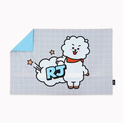 [BT21] BTS Nara Home Deco Collaboration - Comic Pop Pillow Cover - kpoptown.ca