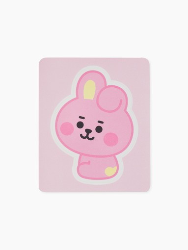 [BT21] BTS Line Friends Collaboration - Removable Sticker - kpoptown.ca