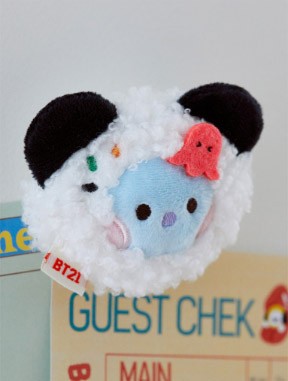 BT21 BUNSIK Goods - minini Magnet Plush_162251.jpg