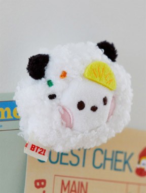 BT21 BUNSIK Goods - minini Magnet Plush_162252.jpg