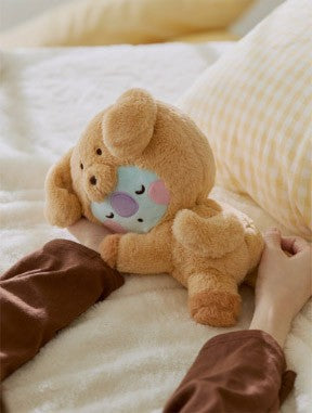 BT21 Baby Pluppy Goods - Lying Plush_166010.jpg