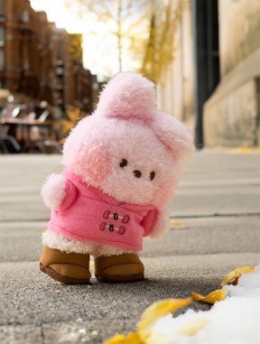 BT21 minini Boots Edition Goods - Plush_165208.jpg