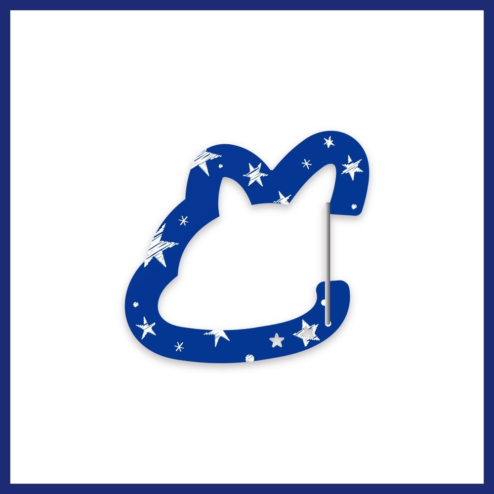 JAY's SPACE Goods - ACRYLIC CARABINER KEYRING_173880.jpg