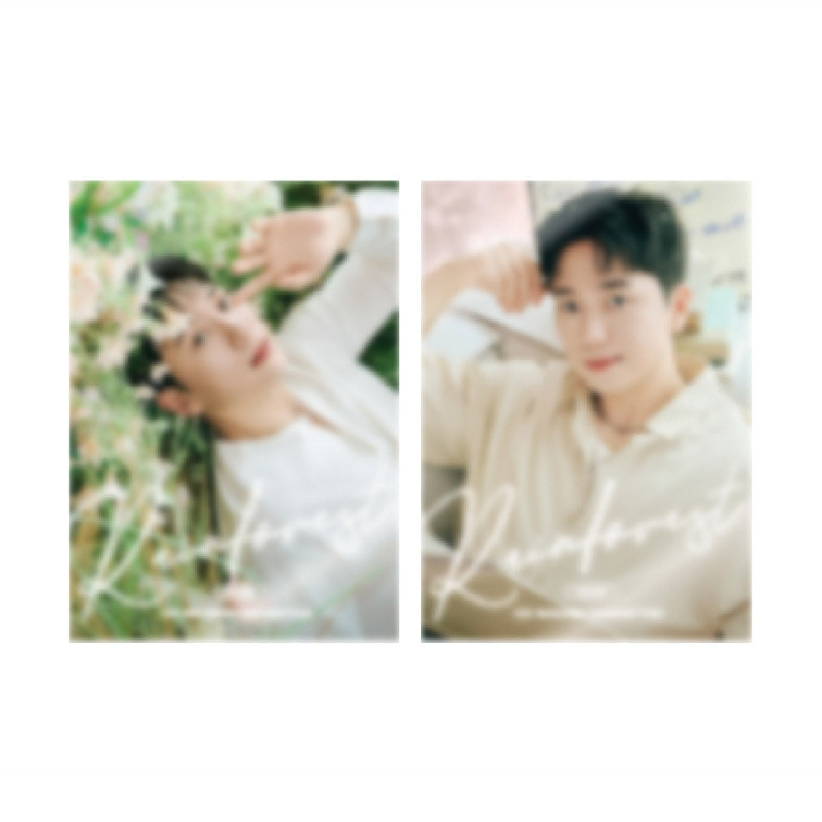 KO WOORIM Rainforest Goods - ACRYLIC MAGNET SET_175096.jpg