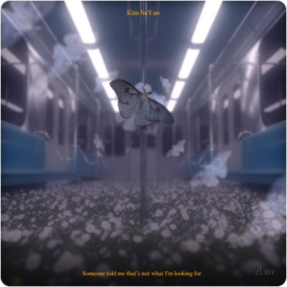 [KiT] KIM SE YAN Album - 꿈 속에서 난 나방이었어 Air-KiT_166643.jpg