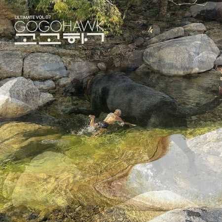 [LP] GOGOHAWK Album - VOL.07 LP_182000.jpg