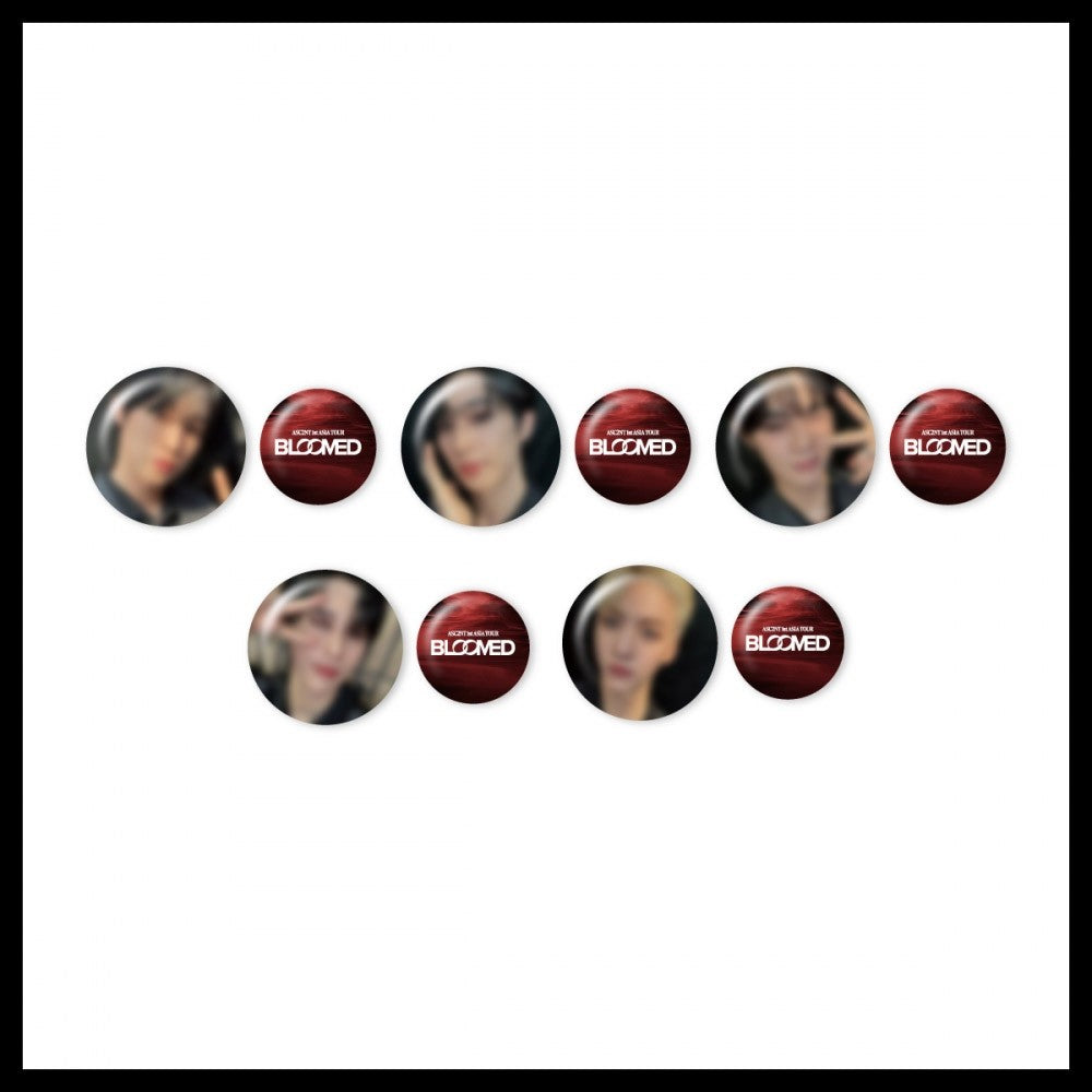 [Pre Order] ASC2NT BLOOMED Goods - PINBUTTON SET_177387.jpg
