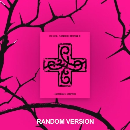 [Weverse Shop Gift][Smart Album] TXT Album - 7TH YEAR : 가시덤불에 잠시 바람이 멈췄을 때 (PPULBATU / Random Ver.) Weverse Albums ver._186670.jpg