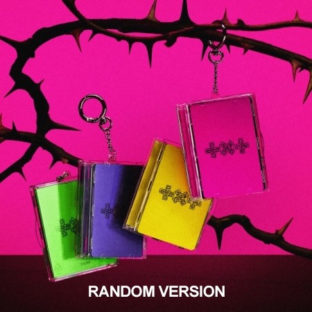 [Smart Album] TXT Album - 7TH YEAR : 가시덤불에 잠시 바람이 멈췄을 때 (Random Ver.) Photocard Case Ver._186658.jpg