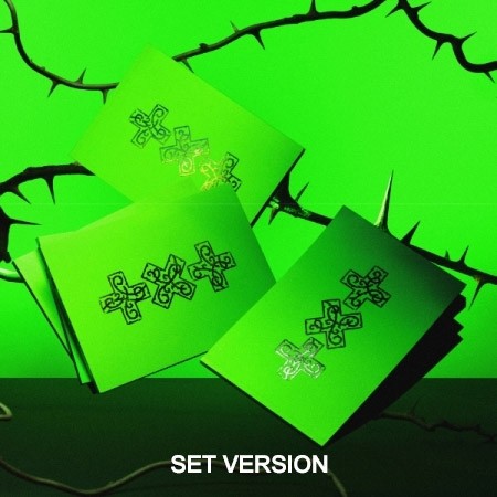 [Weverse Shop Gift][THORN][SET] TXT Album - 7TH YEAR : 가시덤불에 잠시 바람이 멈췄을 때 (SET Ver.) 5CD_186665.jpg