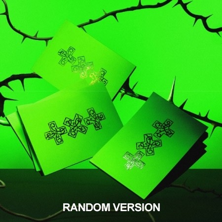 [Weverse Shop Gift][THORN] TXT Album - 7TH YEAR : 가시덤불에 잠시 바람이 멈췄을 때 (Random Ver.) CD_186666.jpg