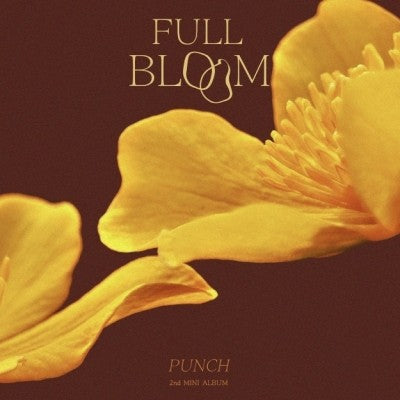 Punch 2nd Mini Album - Full Bloom CD - kpoptown.ca