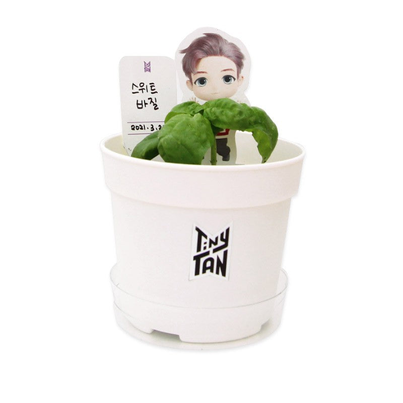 BTS x TinyTAN Goods - SEED STICK KIT - kpoptown.ca