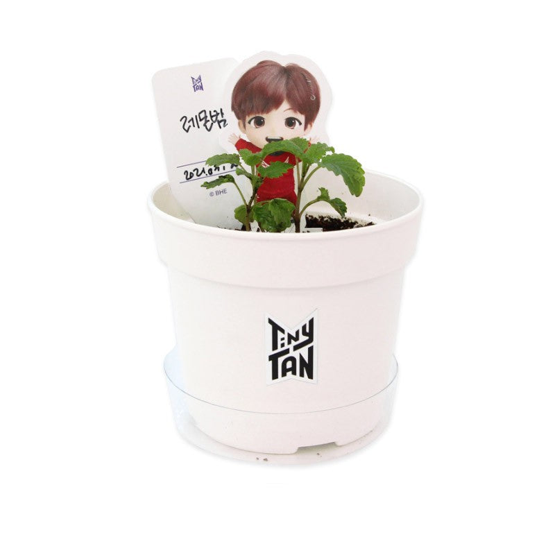 BTS x TinyTAN Goods - SEED STICK KIT - kpoptown.ca