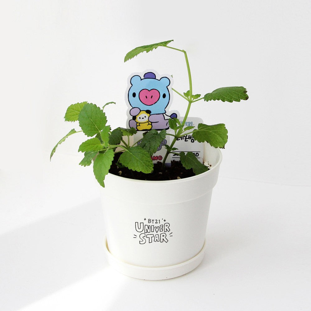 [BT21] BTS Nara Home Deco Collaboration - Seed Stick Kit - kpoptown.ca