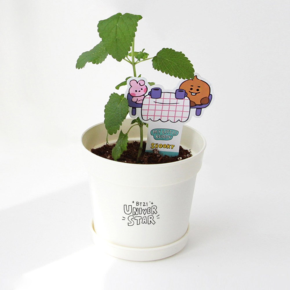 [BT21] BTS Nara Home Deco Collaboration - Seed Stick Kit - kpoptown.ca