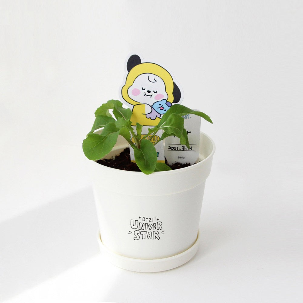 [BT21] BTS Nara Home Deco Collaboration - Seed Stick Kit - kpoptown.ca