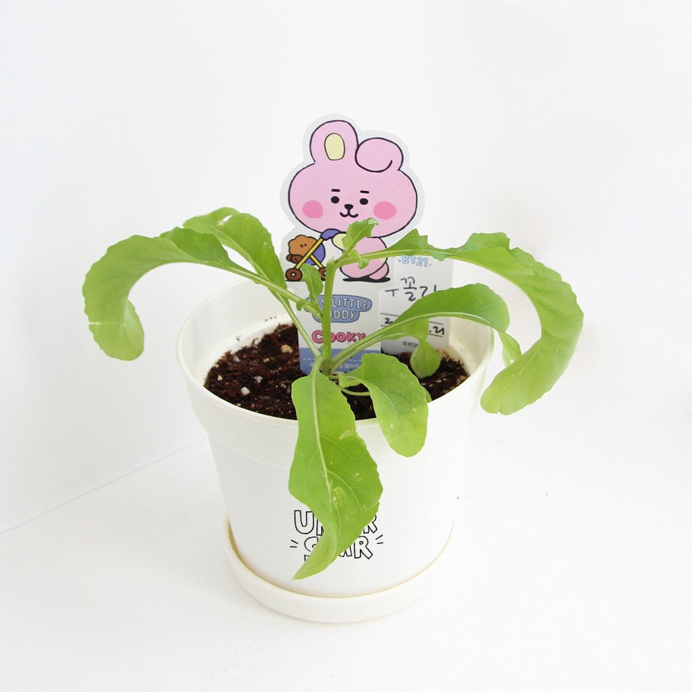 [BT21] BTS Nara Home Deco Collaboration - Seed Stick Kit - kpoptown.ca