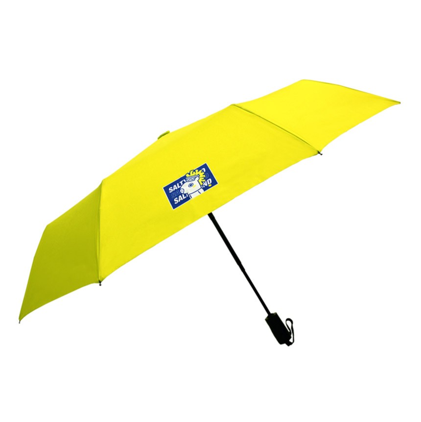 [BT21] BTS Homeplus Collaboration - Autometic Folded Umbrella - kpoptown.ca