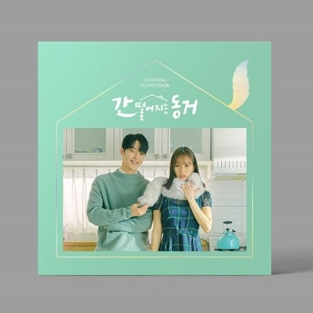 TVN Drama O.S.T My Roommate is a Gumiho (간 떨어지는 동거) 2CD - kpoptown.ca