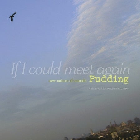 Pudding Album - IF I COULD MEET AGAIN [REMASTERED DELUXE EDITION] 2CD - kpoptown.ca