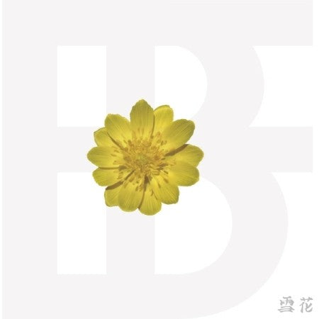 BF Mini Album - Snow Flower (설화) CD - kpoptown.ca