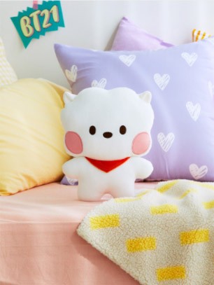 [BT21] BTS Line Friends Collaboration - minini Flat Cushion - kpoptown.ca