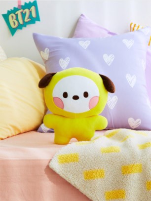 [BT21] BTS Line Friends Collaboration - minini Flat Cushion - kpoptown.ca