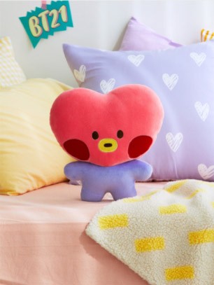 [BT21] BTS Line Friends Collaboration - minini Flat Cushion - kpoptown.ca