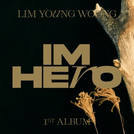 LIM YOUNG WOONG 1st Album - IM HERO (Digipack Ver.) CD - kpoptown.ca