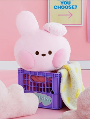 [BT21] BTS Line Friends Collaboration - minini Face Cushion - kpoptown.ca