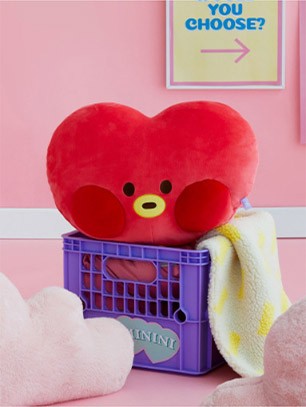 [BT21] BTS Line Friends Collaboration - minini Face Cushion - kpoptown.ca