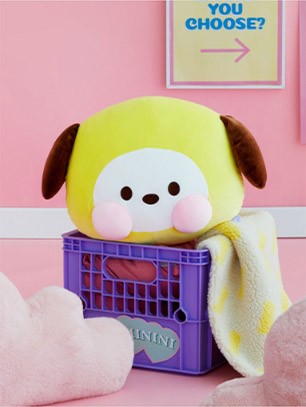 [BT21] BTS Line Friends Collaboration - minini Face Cushion - kpoptown.ca