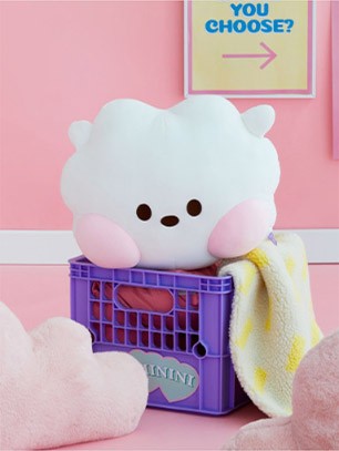 [BT21] BTS Line Friends Collaboration - minini Face Cushion - kpoptown.ca