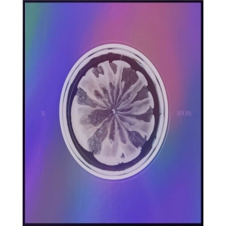 XG 1st Mini Album - NEW DNA (X Ver.) CD - kpoptown.ca