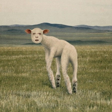 THORNAPPLE EP Album - Animal CD - kpoptown.ca