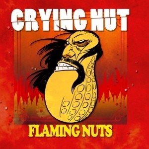 Crying Nut 7th Album - Flaming Nuts CD - kpoptown.ca