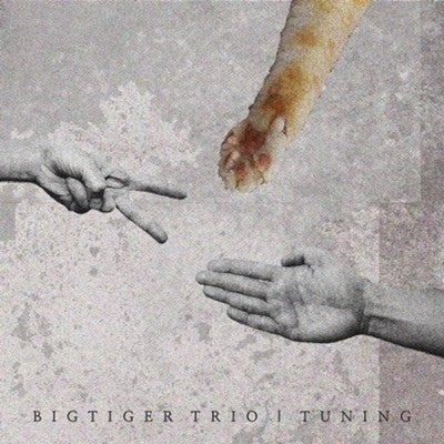 Bigtiger Trio - Tuning CD - kpoptown.ca