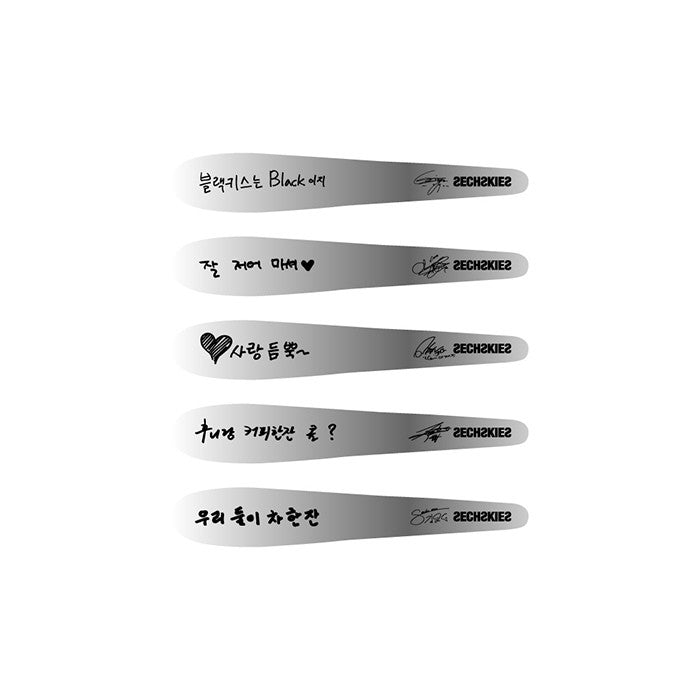 SECHSKIES TEASPOON SET : SECHSKIES THE 20TH ANNIVERSARY Concert Goods - kpoptown.ca