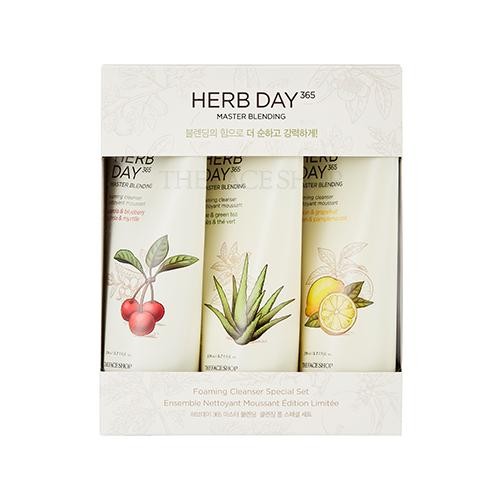 [Thefaceshop] Herb Day 365 Master Blending Cleansing Foam Special Set 170ml - kpoptown.ca