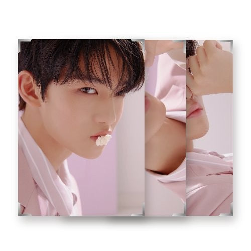 BAE JIN YOUNG 2019 ASIA FANMEETING IN SEOUL Goods - SPECIAL PHOTO - kpoptown.ca